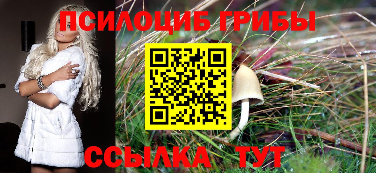 Галлюциногенные грибы Cubensis  Вход с VPN  Асино 