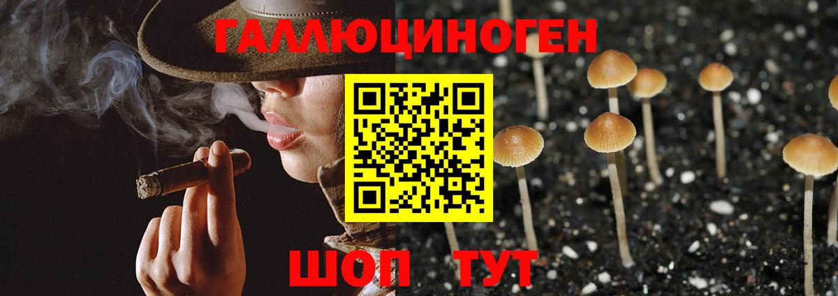 Псилоцибиновые грибы мицелий Асино