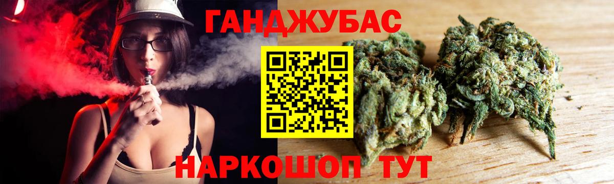 Бошки Шишки план Асино